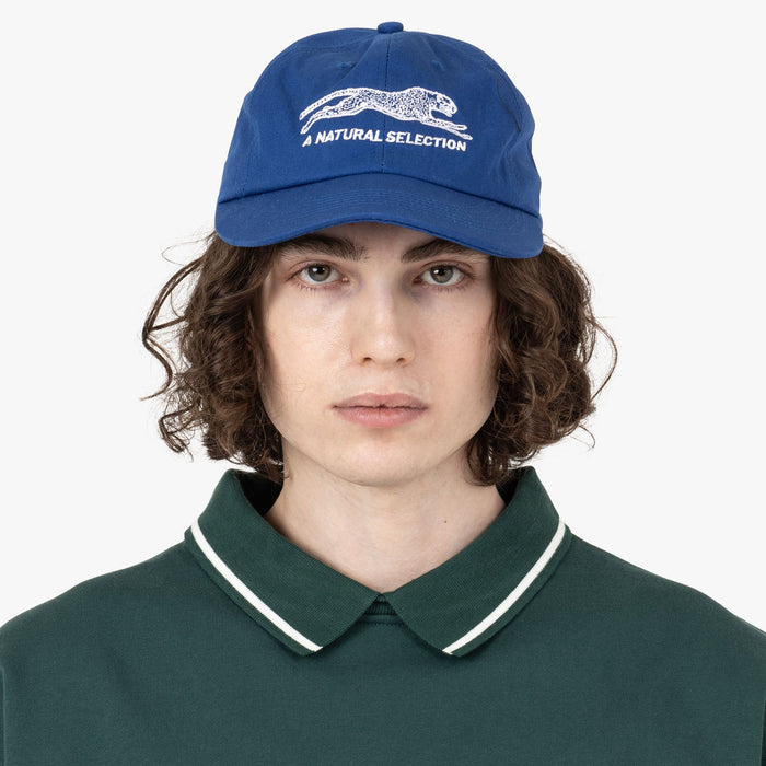 Brother Brother Natural Selection Casquette Bleu Royal / Blanc 1