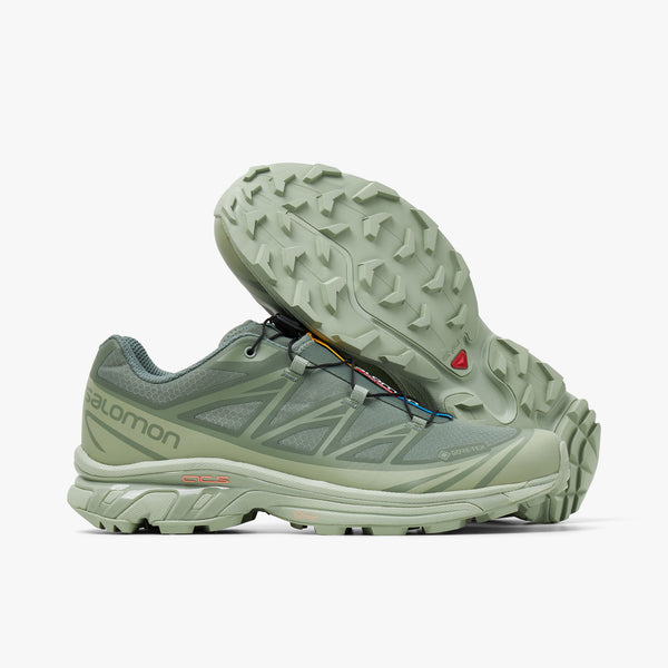 Salomon Advanced XT 6 GTX Desert Sage Lily Pad Laurel Wreath