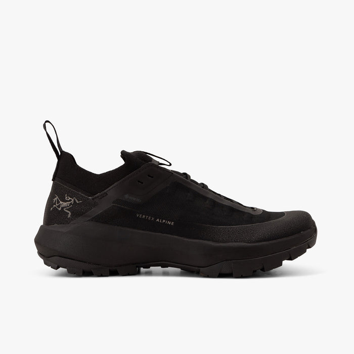 Arc'teryx Vertex Alpine GORE-TEX / Black / Black 1