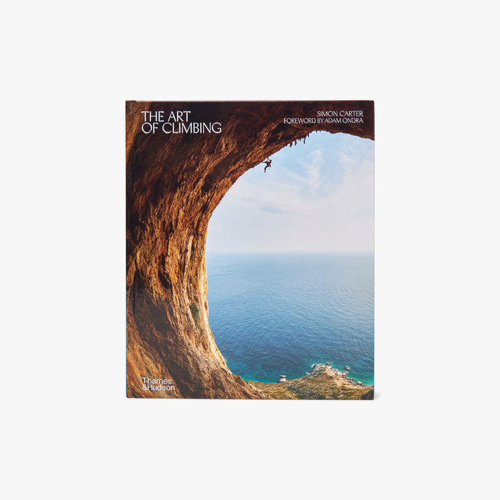 The Art Of Climbing 1