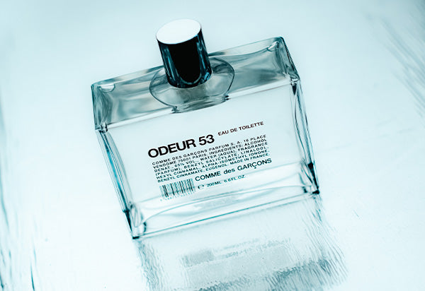 COMME des GARÇONS PARFUM Blue Santal Eau de Parfum / 100ml – Livestock