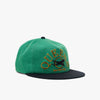 Awake NY 5 Borough Snapback Hat Queens / Green 1