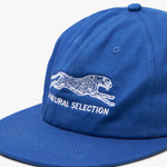 Brother Brother Natural Selection 6 Panel Cap Royal / White 4