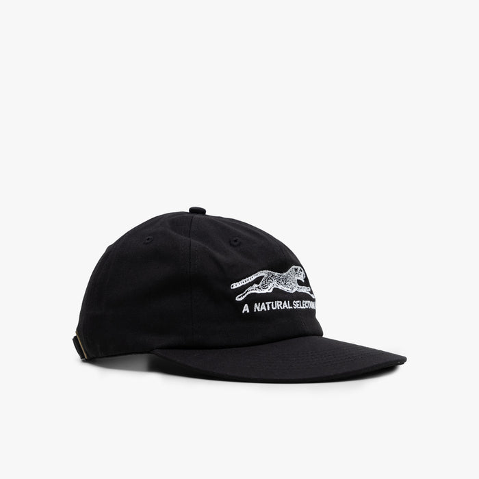 Brother Brother Natural Selection Cap Black / White 1