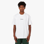 Nike ACG Graphic T-shirt Brown / Summit White 1