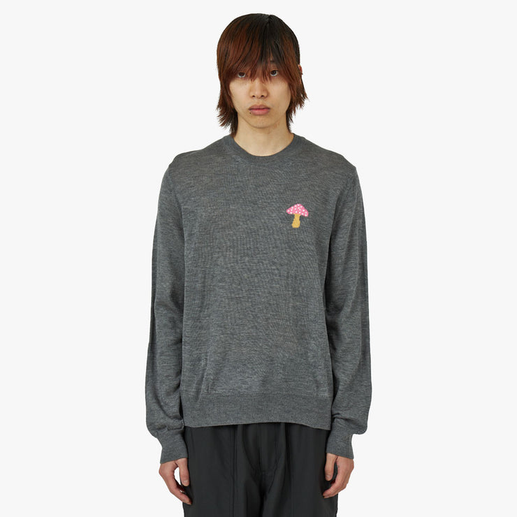 COMME des GARÇONS SHIRT ニット COMME des GARCONS SHIRT / Fully Fashioned Knit 12G Crew Neck