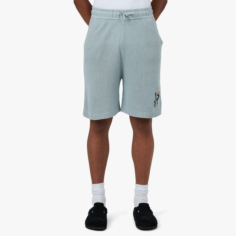 Jordan jumpman gfx best sale knit shorts