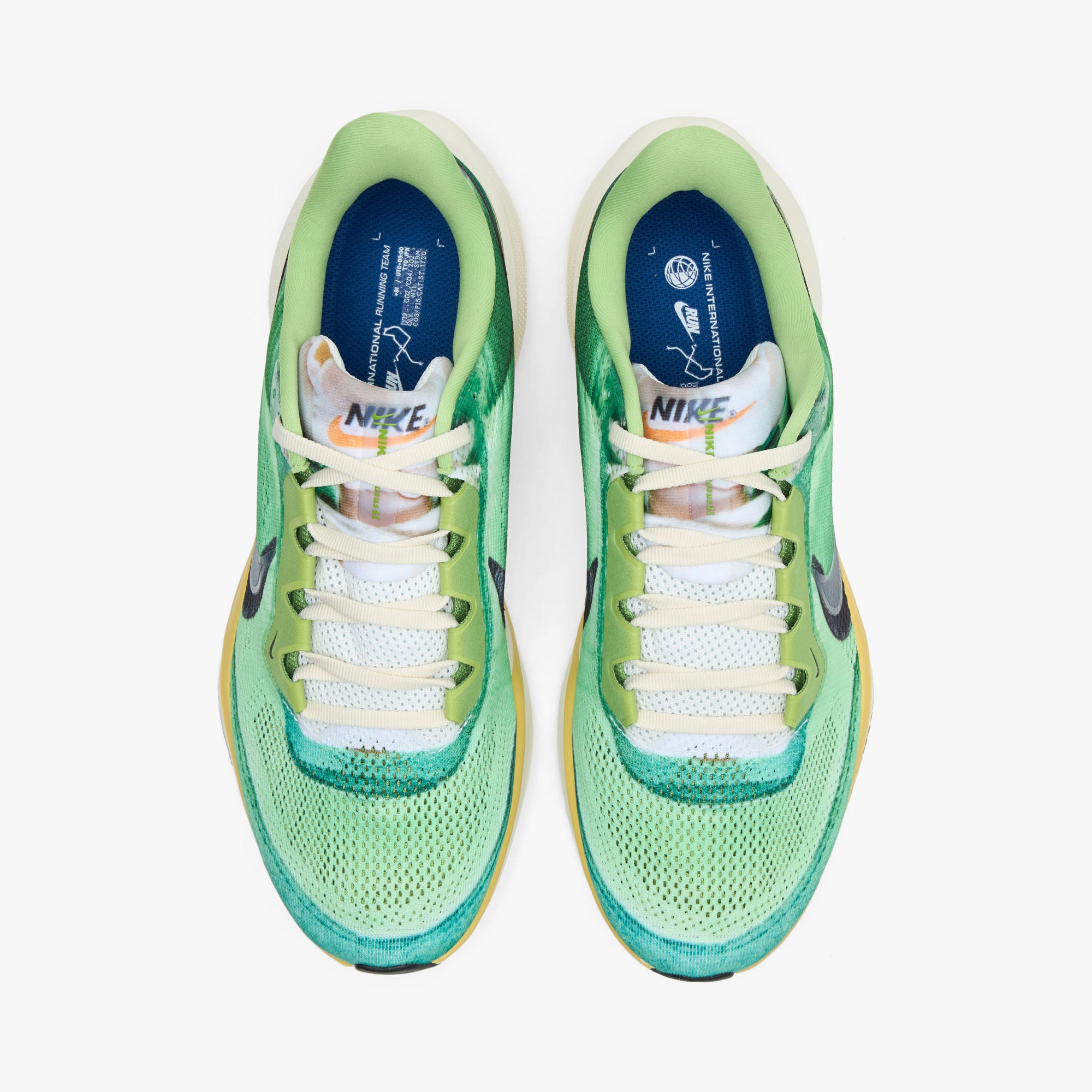 Nike Pegasus 41 SE Multi-Colour / Vivid Green - Dark Apple – Livestock