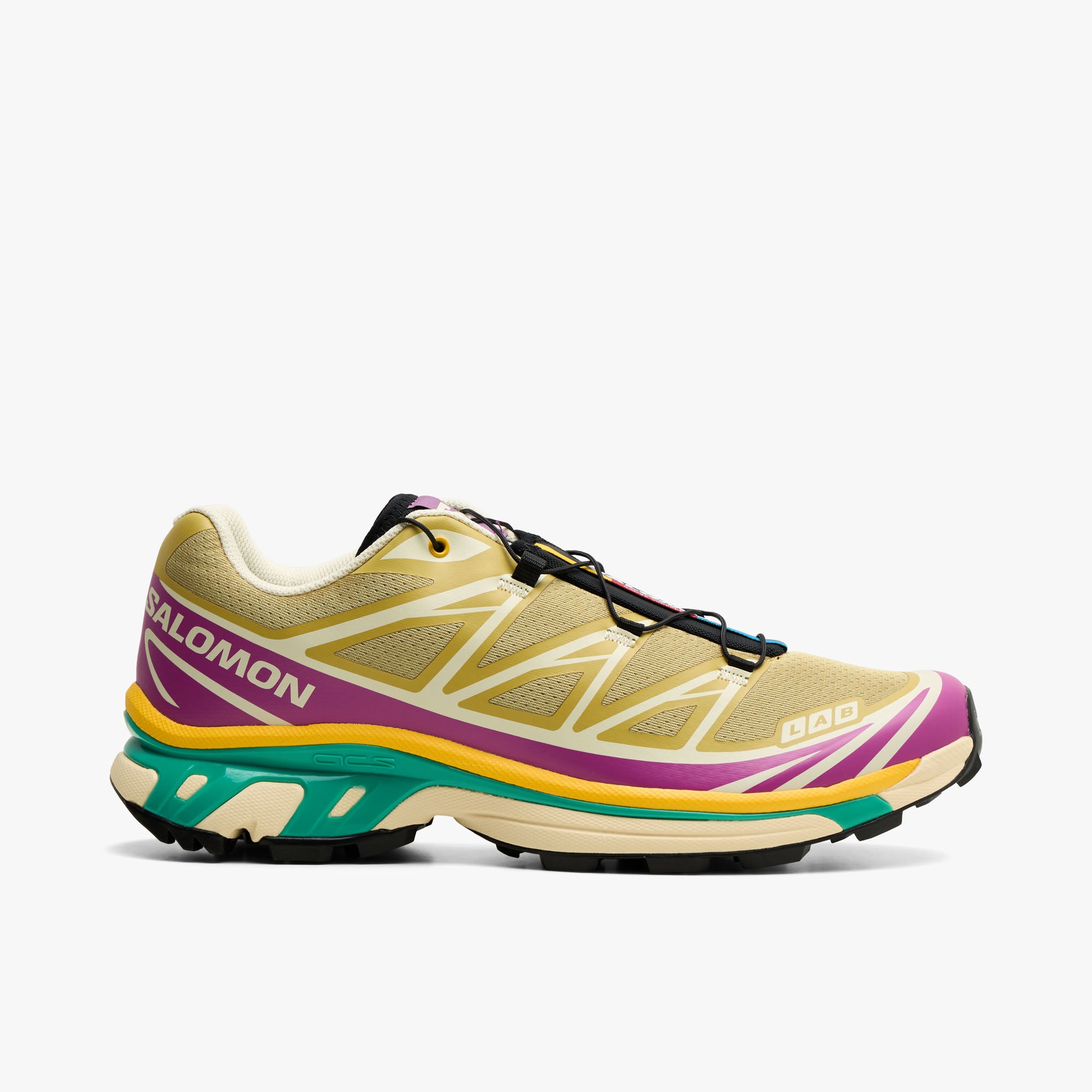 L47886500_salomon_xt_6_antique