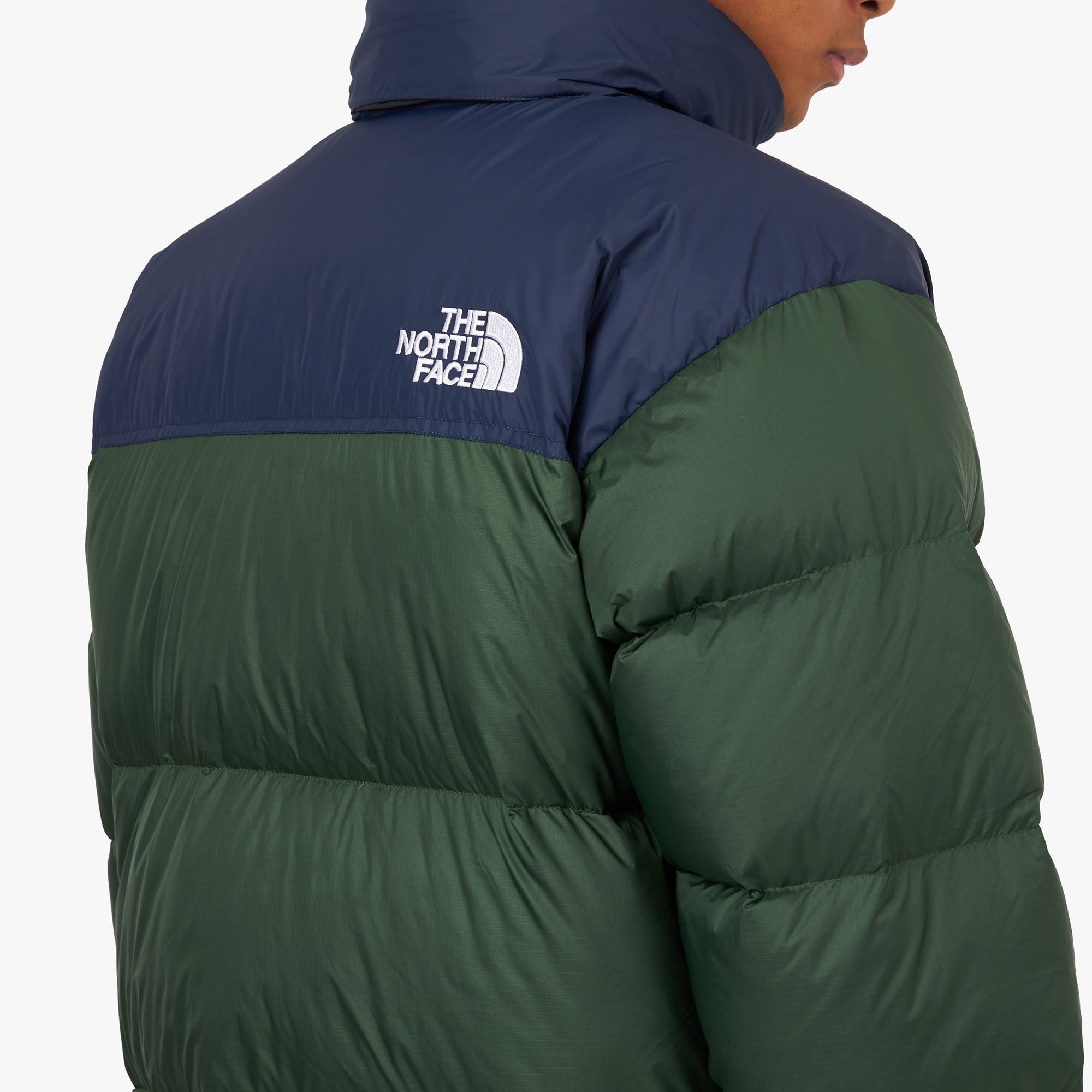 Tnf nuptse green sale