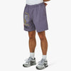 The North Face x Online Ceramics Class V Pull On Shorts / Purple 2