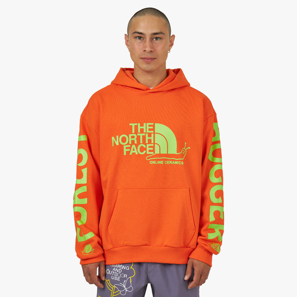 Pull the north face discount vert