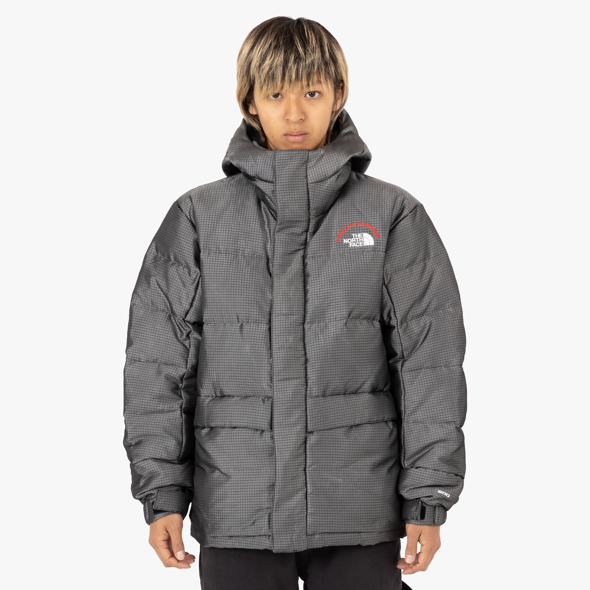 The North Face Hmlyn 30 Anniversary Parka Men s M Moonstone Grey