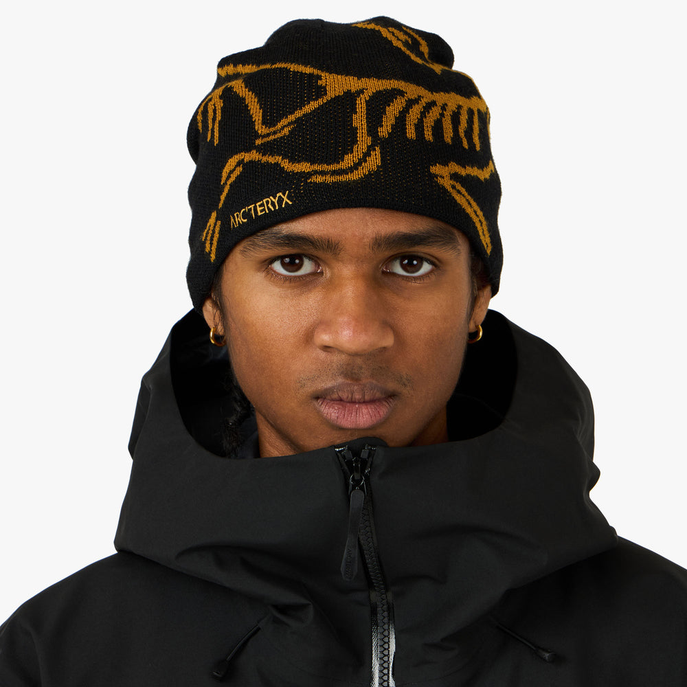 正規品　arc'teryx Bird Head Toque black 黒 Arc'teryx Bird Head Toque Beanie Black/Void メンズ - FW24 - JP