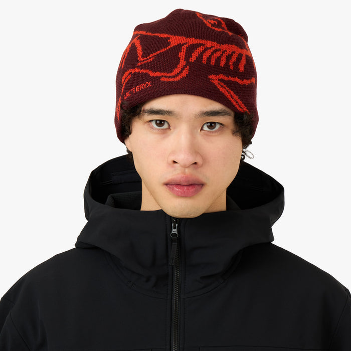 Arc'teryx Bird Head Toque Mars / Dynasty – Livestock