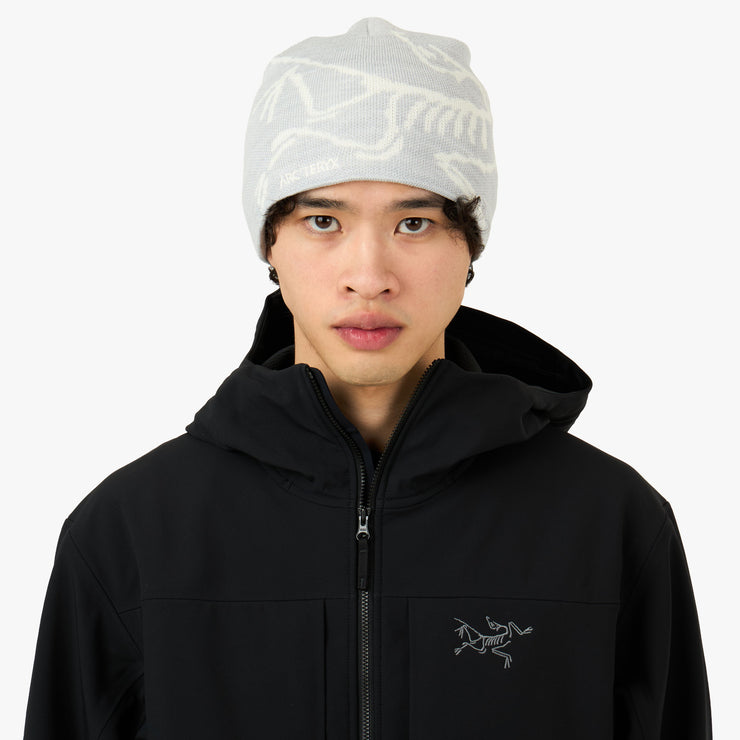 Arc'teryx Bird Head Toque Solitude/Arctic Silk – Livestock