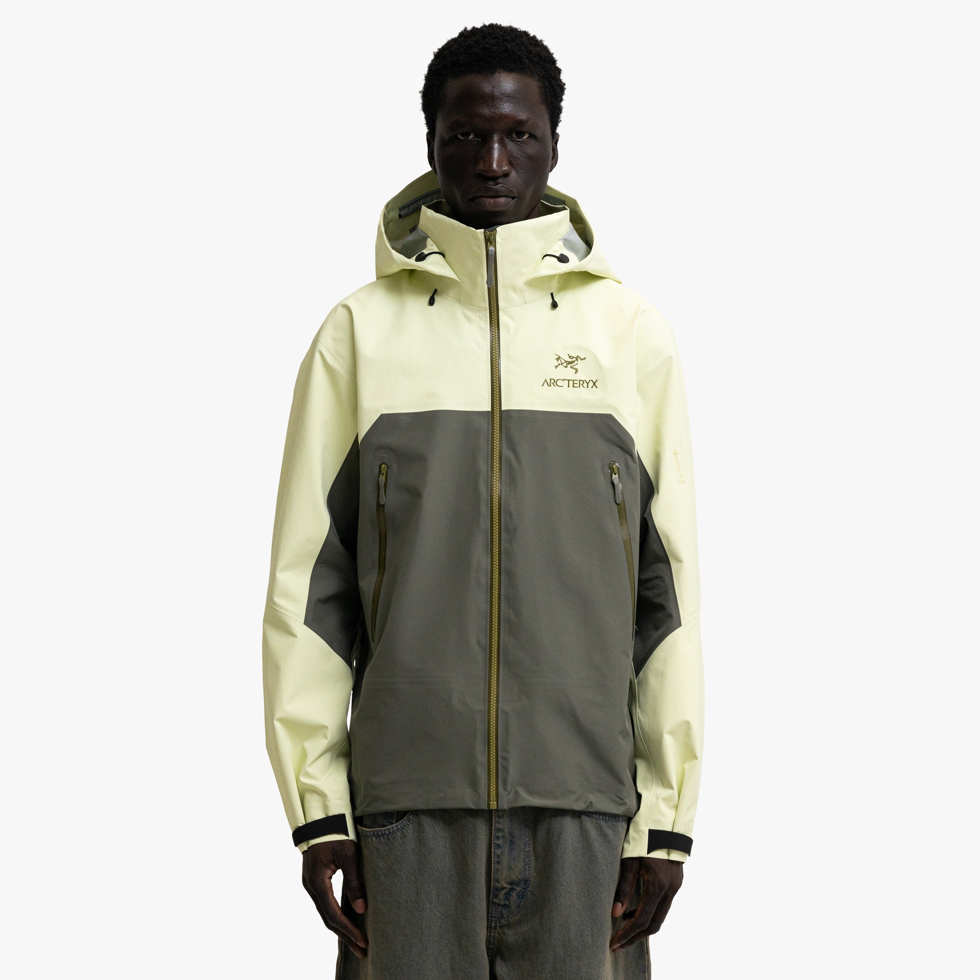 Arc'teryx Beta AR Ray / Forage 1