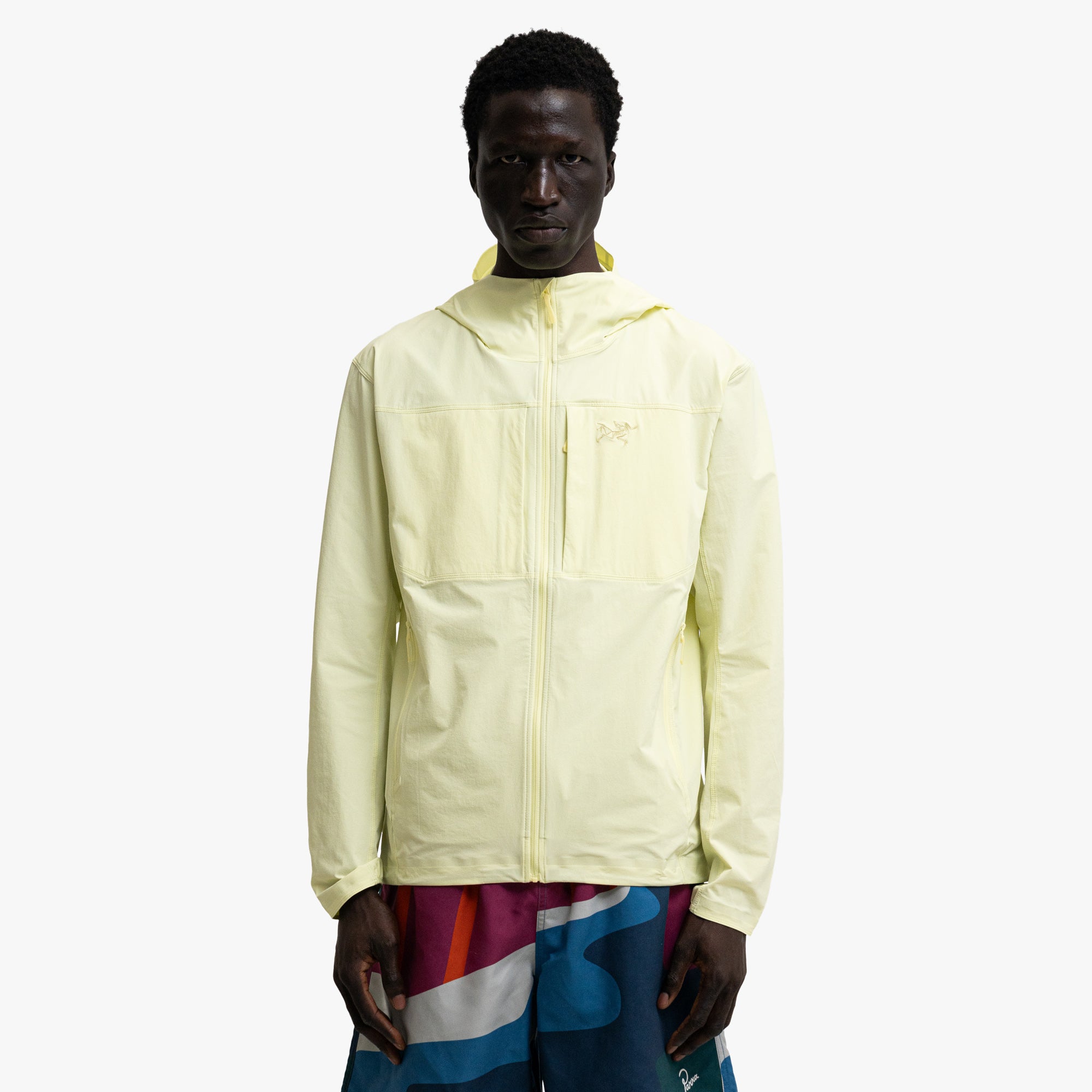 Arc'teryx Gamma Hoody Ray 1