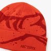 Arc'teryx Grotto Toque / Dynasty / Dark Dynsty 3