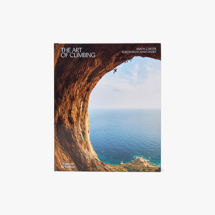 The Art Of Climbing 1