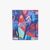 KAWS (Phaidon Contemporary Artists Series) 2