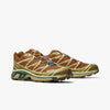 Salomon Advanced XT-6 Caoutchouc / Lizard - Eden - Low Top  3
